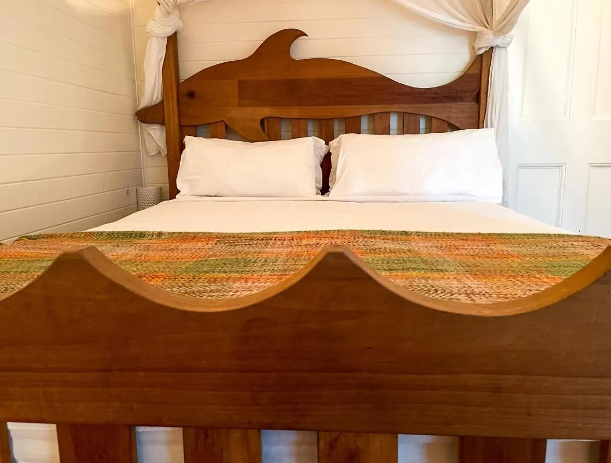 Arcadia House Otel Byron Bay Konukevi